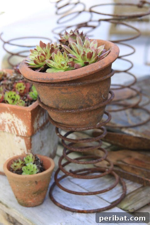 From Scrap to Chic 15 Creative Uses for Old Bed Springs 6 Upcycled bed spring mini plant stand