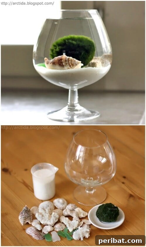 Mini Aquarium