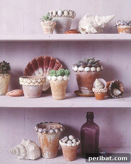Flower Pots