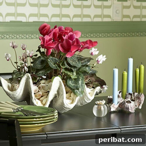 Clamshell Centerpiece