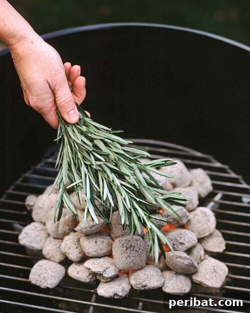 55+ Ultimate Camping Hacks to Master the Wilderness 14 Enhance campfire cooking by adding fresh rosemary to charcoal for a fragrant smoked flavor.