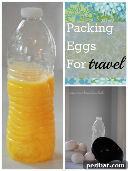 55+ Ultimate Camping Hacks to Master the Wilderness 22 Store beaten eggs in a clean water bottle to prevent breakage and provide easy pouring for camping breakfasts.