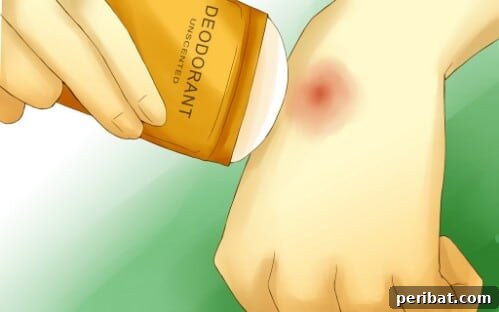 55+ Ultimate Camping Hacks to Master the Wilderness 25 Applying deodorant to bug bites can provide quick relief from itching.