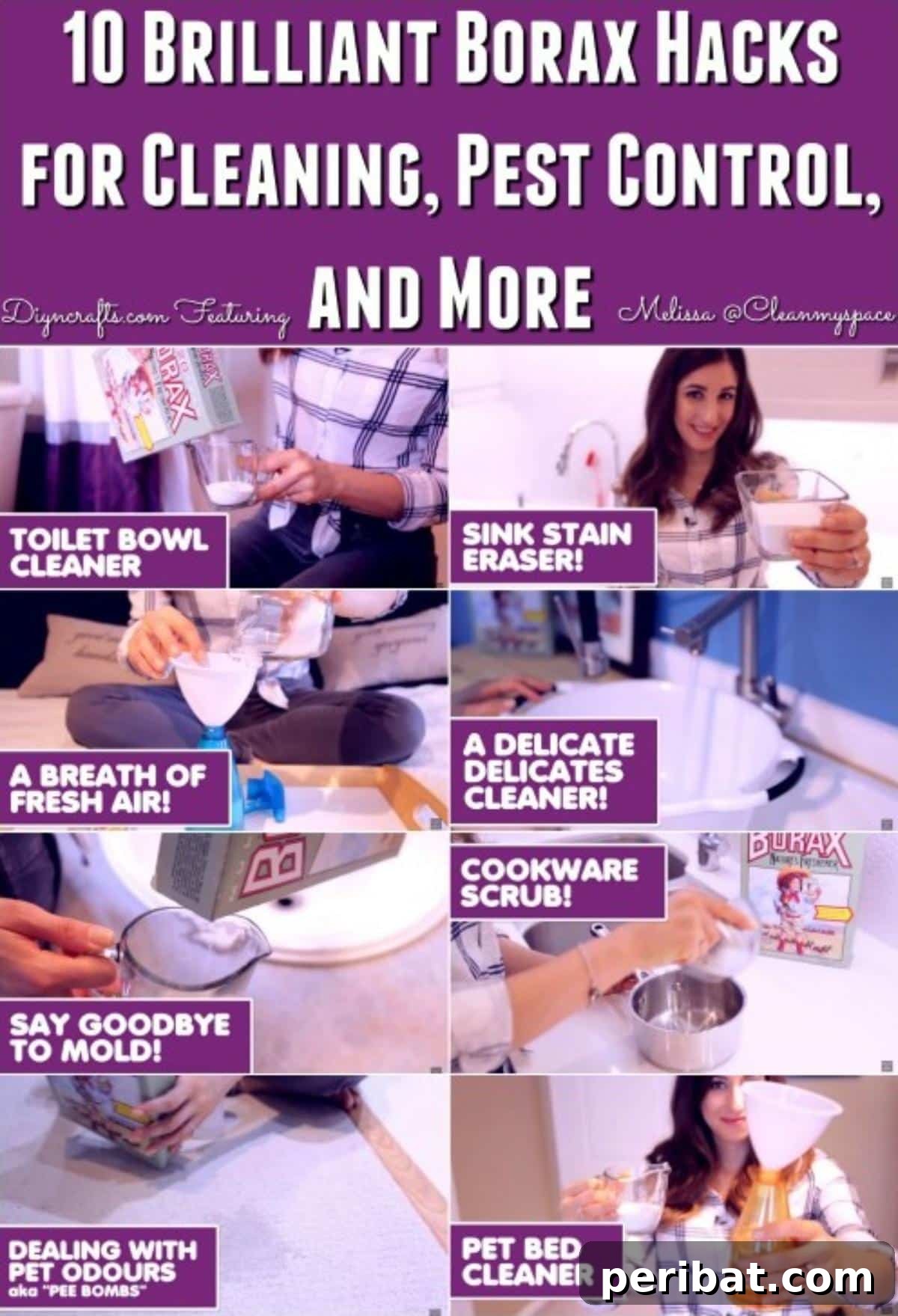 10 Brilliant Borax Hacks for Cleaning, Pest Control, and More collage