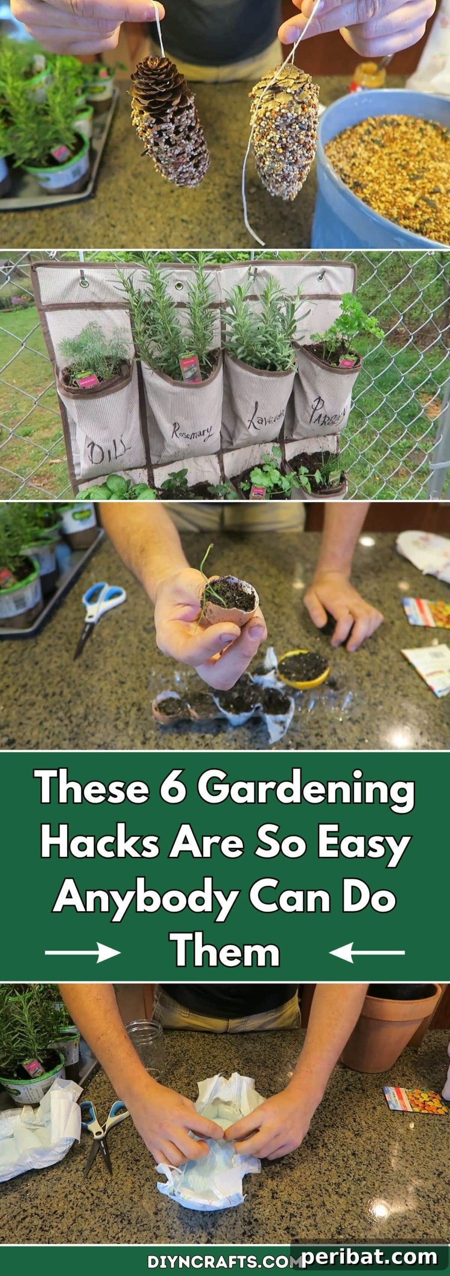 Transform Your Garden: 6 Simple Hacks for Every Skill Level 2 These 6 Gardening Hacks Are So Easy Anybody Can Do Them pinterest image
