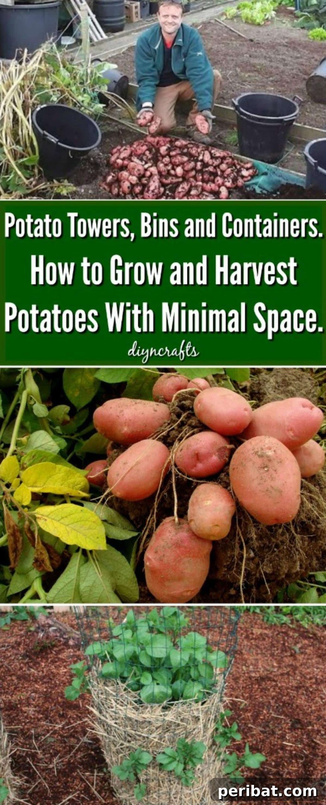 Potato Towers, Bins and Containers. How to Grow and Harvest Potatoes With Minimal Space. collage