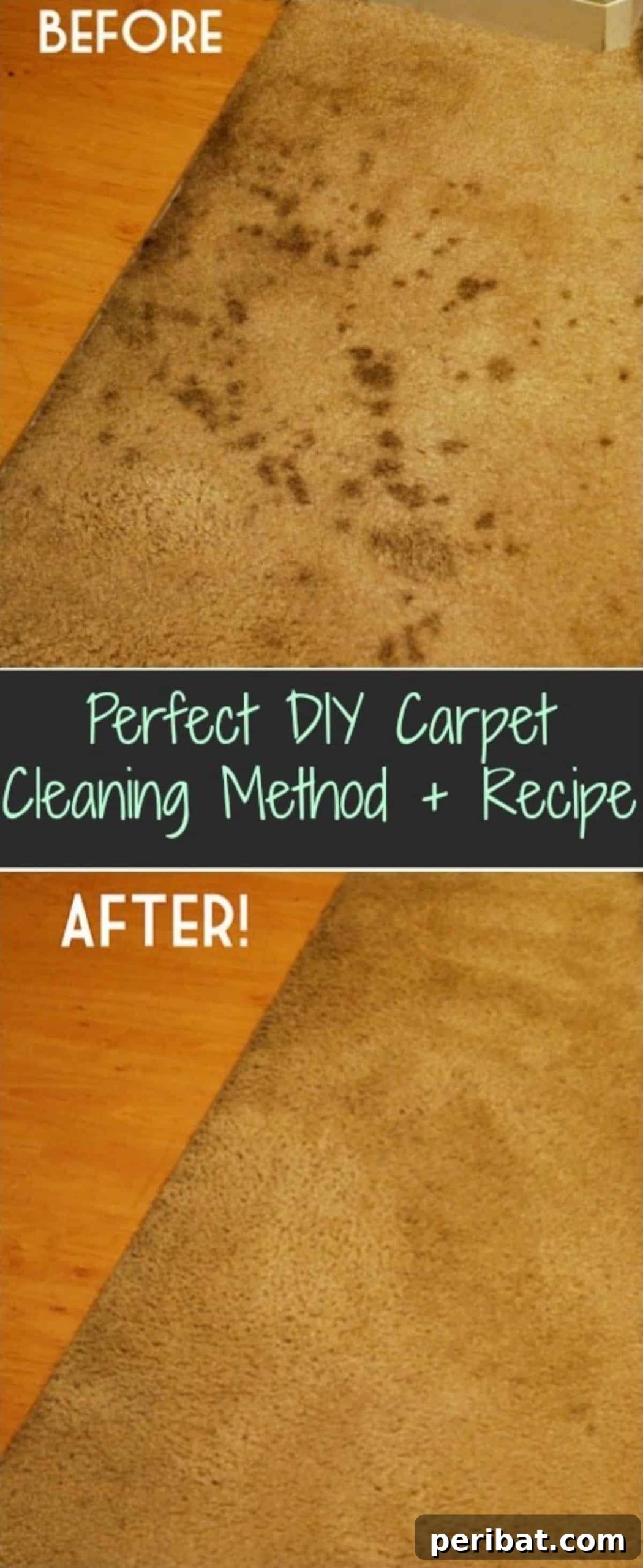 Ultimate DIY Carpet Cleaning Guide 2 DIY Carpet Cleaning Method for Organic Stains: Vinegar and Water Solution for a Spotless Home. Perfect for pet stains, food spills, and dirt removal.
