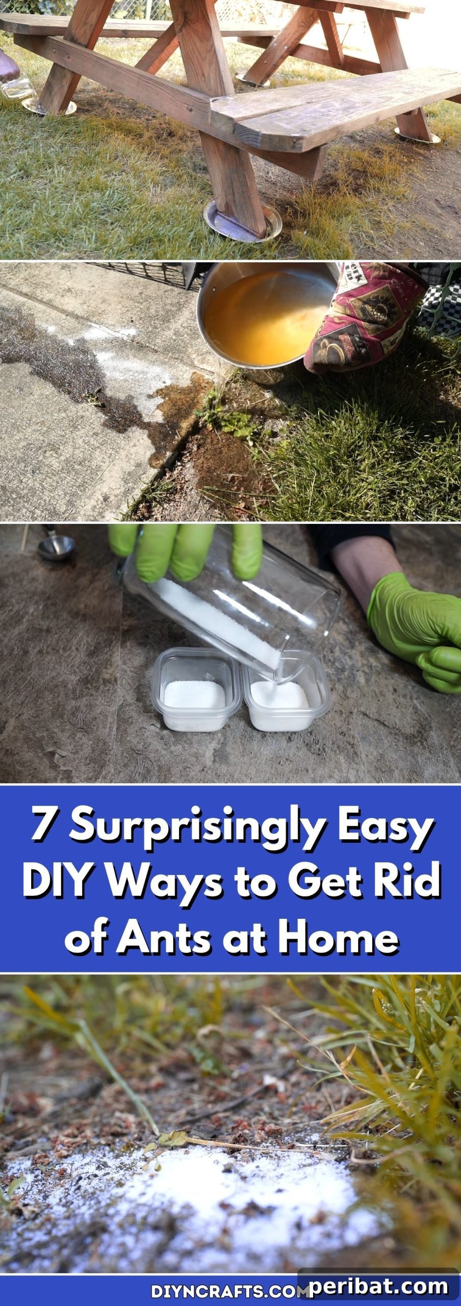 Ant Invasion No More 7 Simple DIY Solutions for Your Home 2 7 Surprisingly Easy DIY Ways to Get Rid of Ants at Home