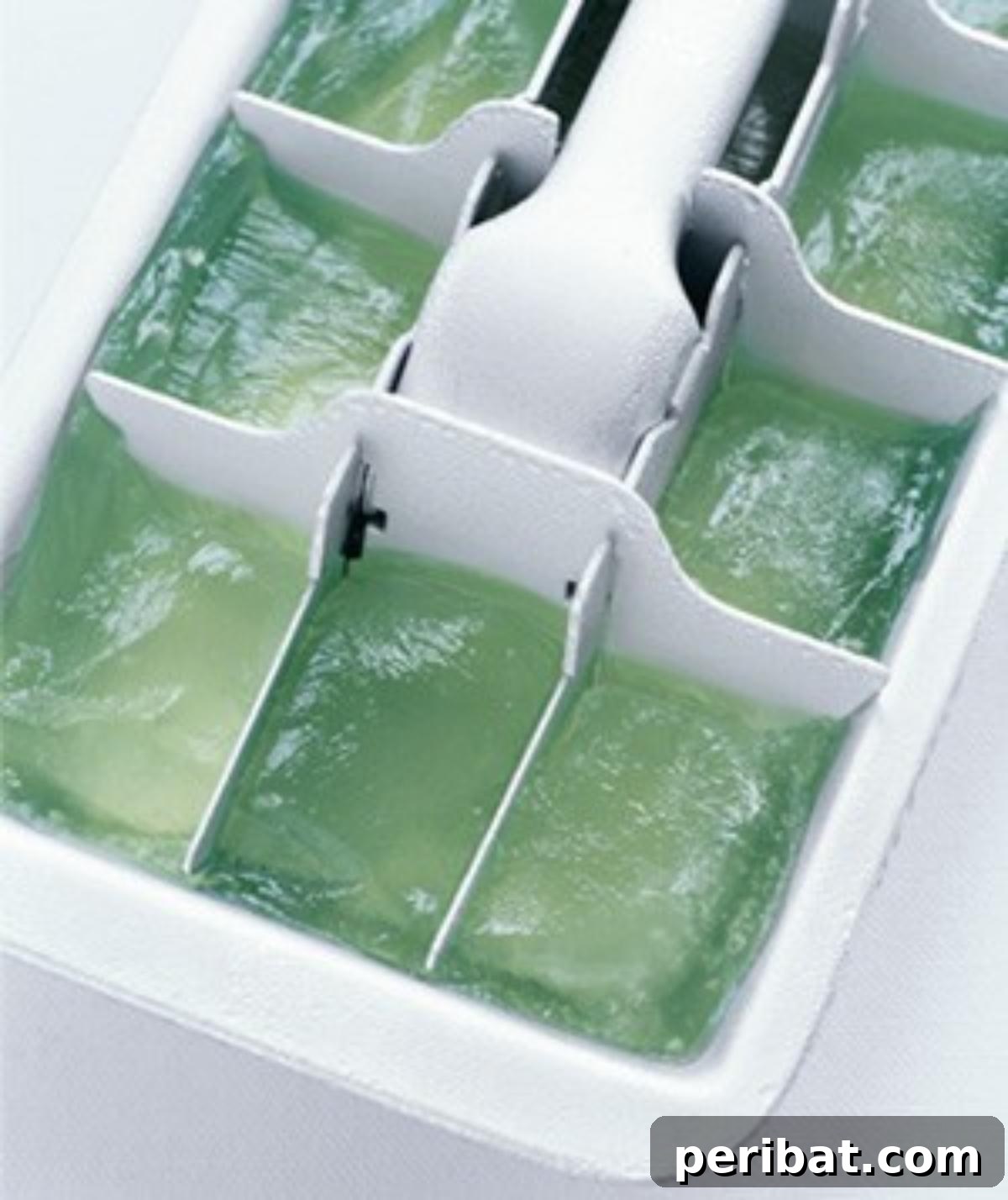 35 DIY Summer Adventures for Your Most Epic Season Yet 14 Frozen Aloe to soothe sunburn