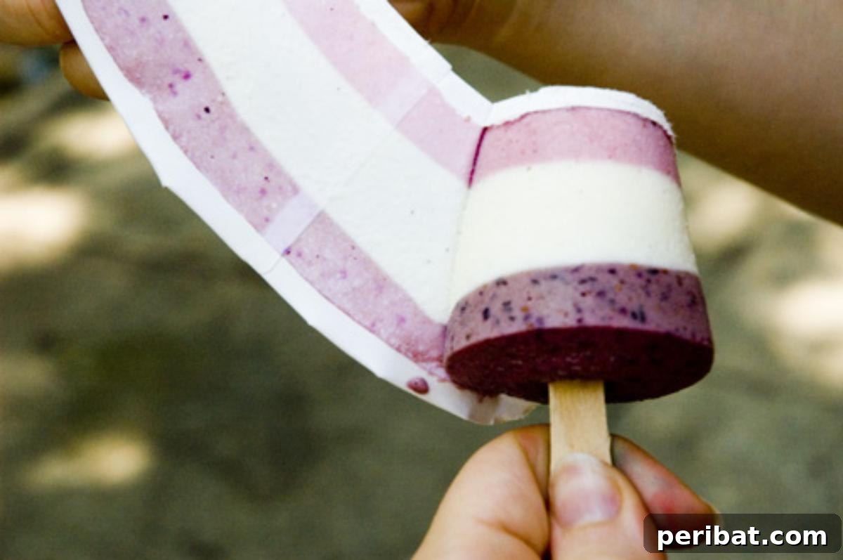 35 DIY Summer Adventures for Your Most Epic Season Yet 23 Homemade Bomb Pops