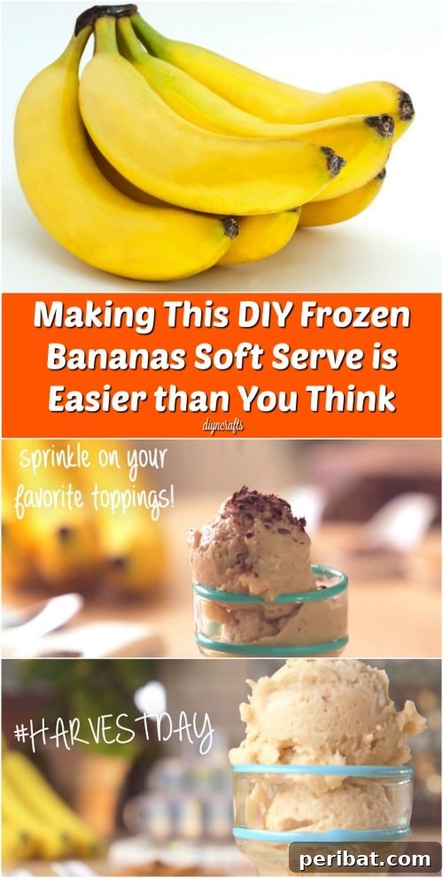 Surprisingly Simple Homemade Frozen Banana Soft Serve 2 Making This DIY Frozen Bananas Soft Serve is Easier than You Think {Recipe}