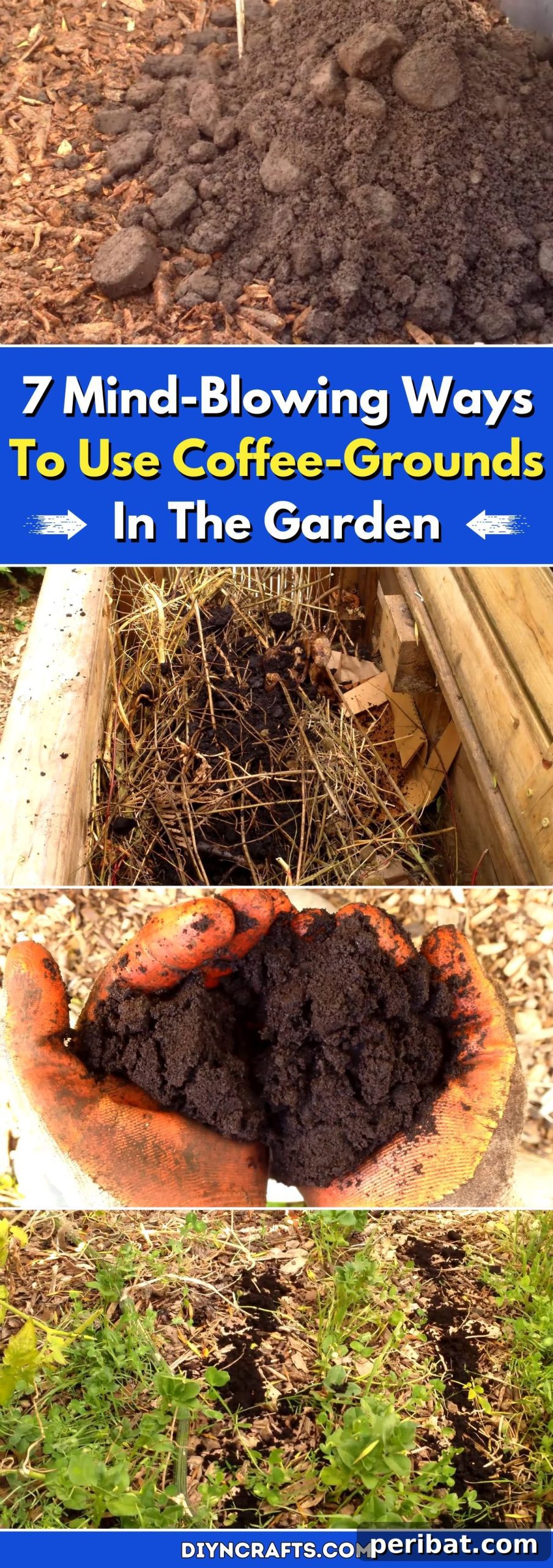 7 Mind-Blowing Ways To Use Coffee-Grounds In The Garden pinterest image
