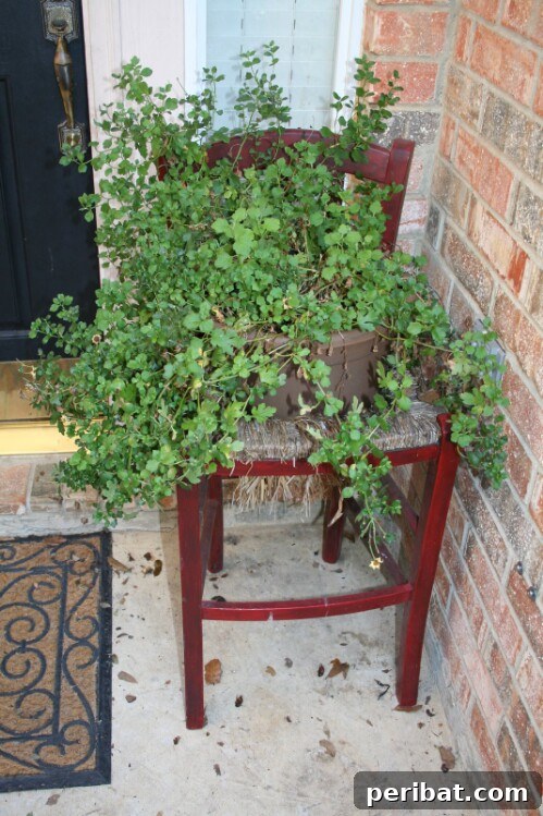 Chair Reinvention: Ingenious Ways to Give Old Seats New Purpose 13 Old chair transformed into a decorative porch planter