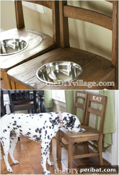 Chair Reinvention: Ingenious Ways to Give Old Seats New Purpose 5 Upcycled chair transformed into an elevated dog feeder