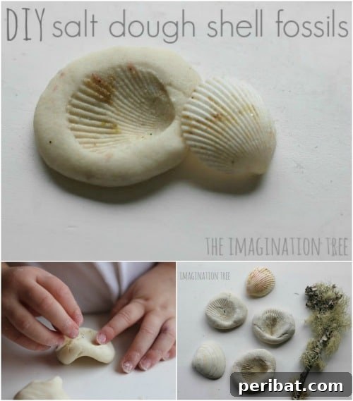 Shell Fossils - Fun Playdough Games, Projects, and Activities