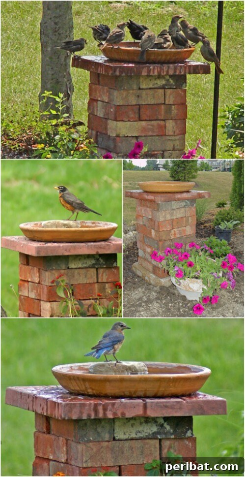 20 Brilliant Second Acts for Your Old Bricks 8 A DIY birdbath stand made from stacked bricks.