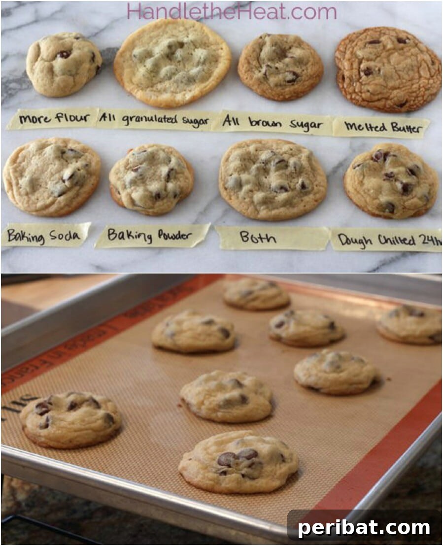 Master Professional Cooking: 60 Essential Visual Charts 2 How to make the ideal chocolate chip cookie with varied textures