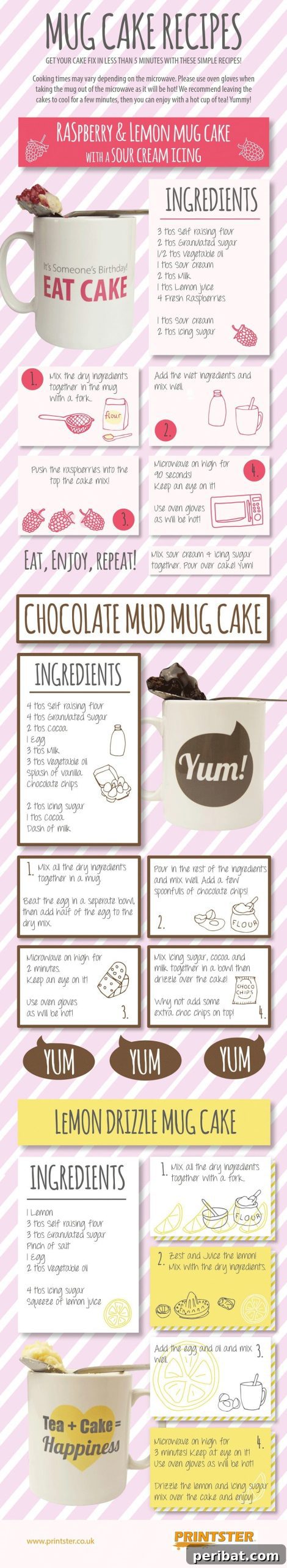 Master Professional Cooking: 60 Essential Visual Charts 12 Delicious mug cake recipes infographic