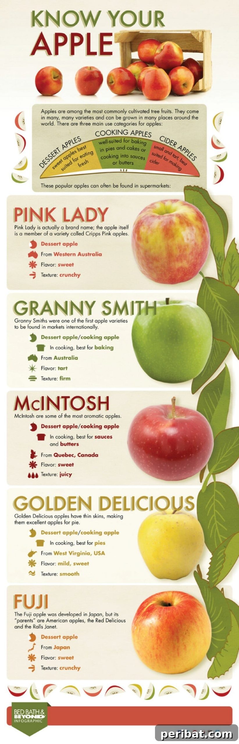 Master Professional Cooking: 60 Essential Visual Charts 25 Guide to different types of apples and their best uses