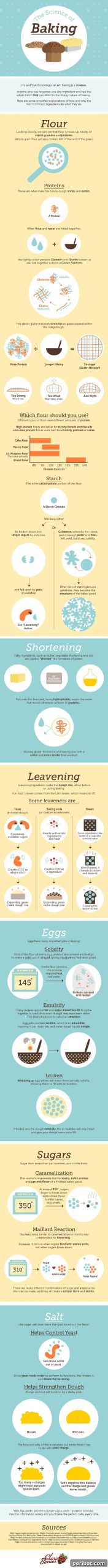 Master Professional Cooking: 60 Essential Visual Charts 4 Detailed infographic on the science and chemistry of baking