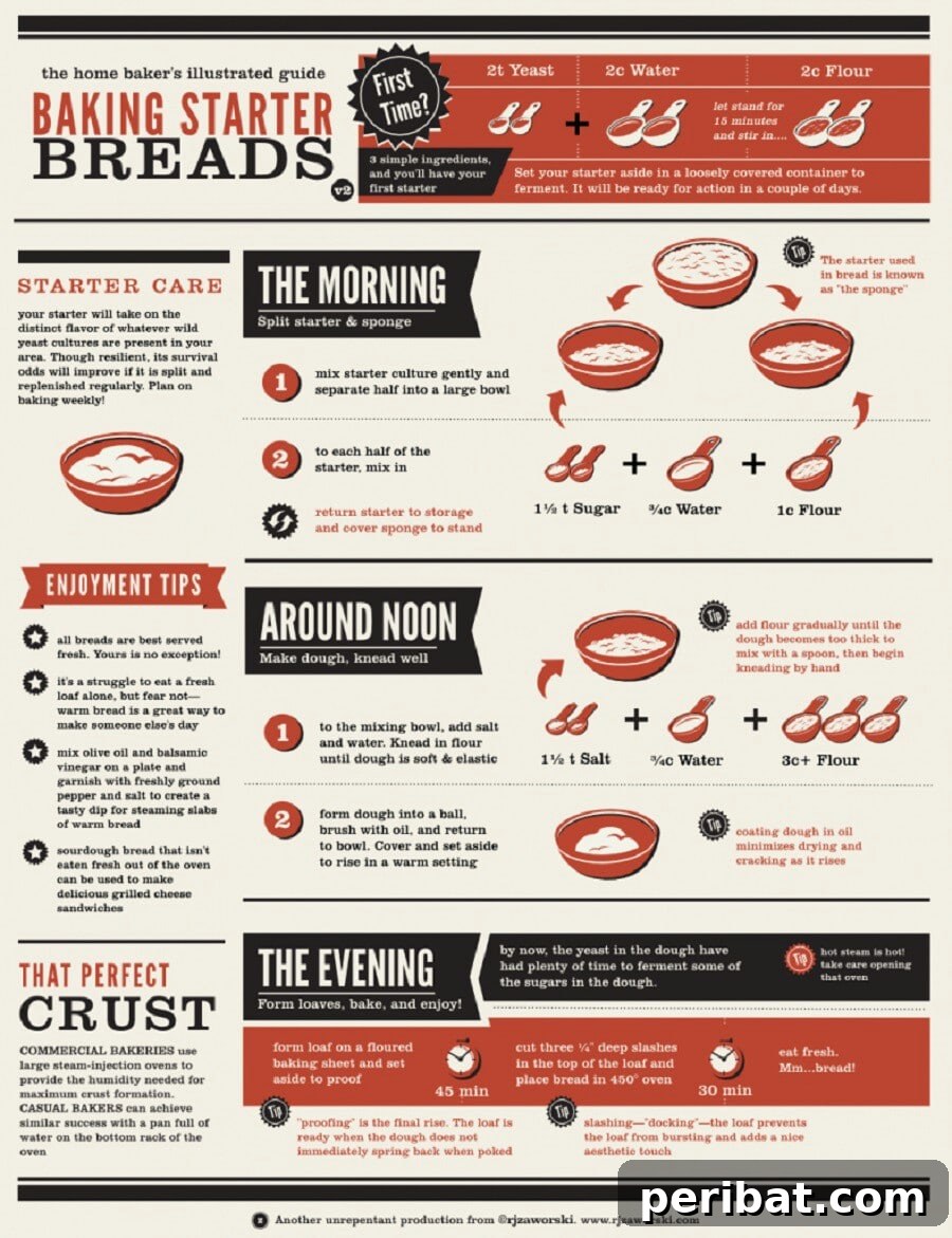Master Professional Cooking: 60 Essential Visual Charts 31 Home bakers illustrated guide to making starter bread