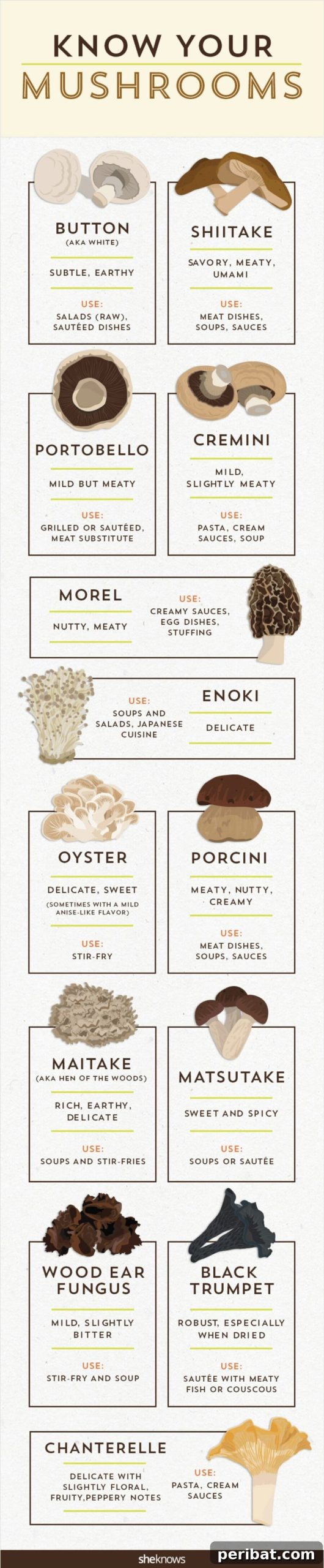 Master Professional Cooking: 60 Essential Visual Charts 34 Guide to different types of mushrooms and their culinary uses