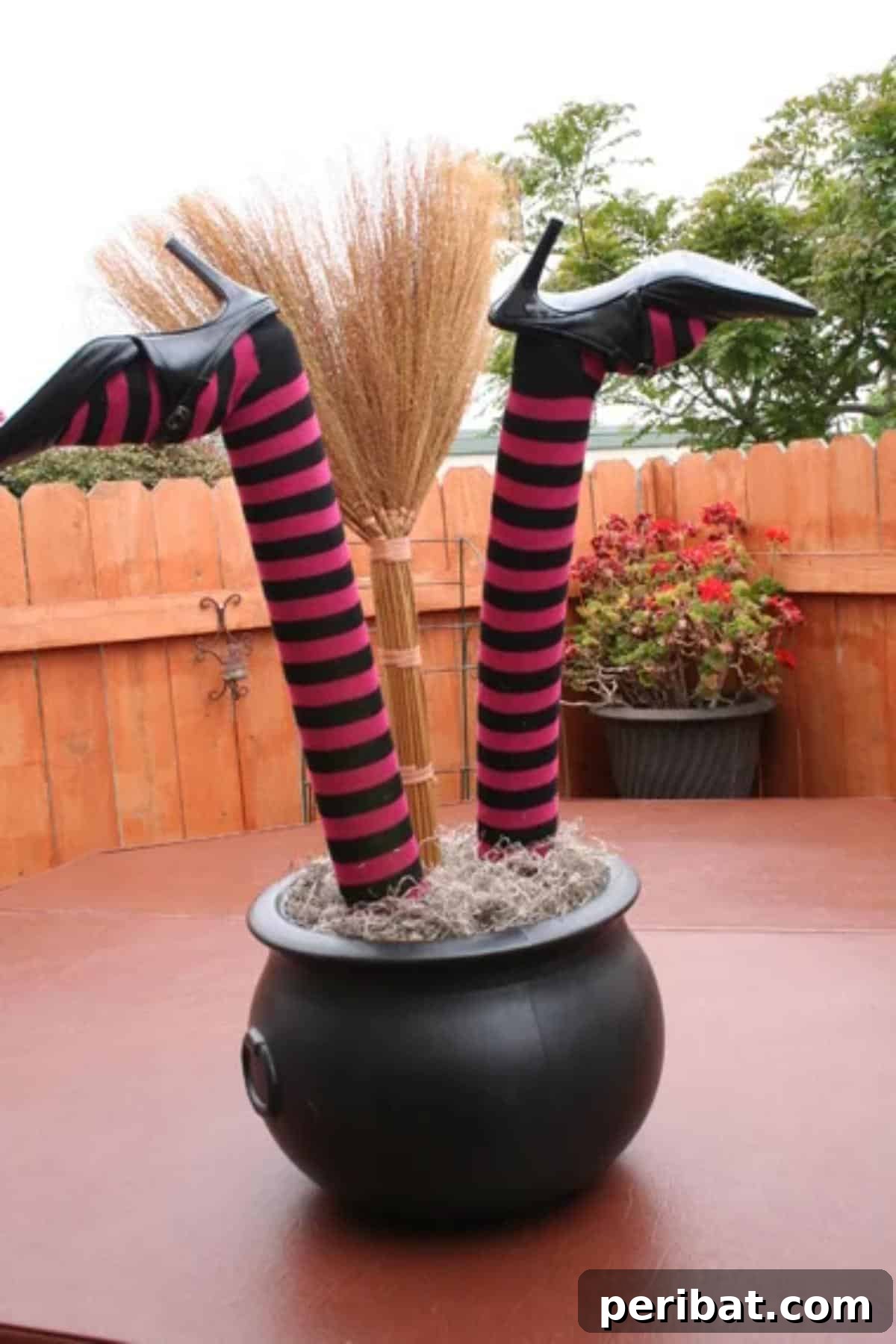 Crashed Witch
