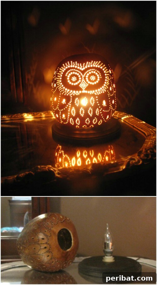 Owl Gourd Lamp, a unique no-carve alternative using a drill for patterns
