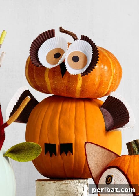 Owl Pumpkin created with cupcake liners for eyes and wings, a unique DIY