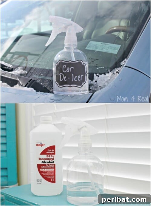 Çok Amaçlı Mucize: İzopropil Alkolün 56 Akıllara Zarar Kullanım Alanı 16 Make De-Icing Spray for Your Car