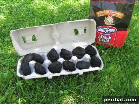 Eggs-tra Special Campfire Starter - Eco-friendly and effective fire starting hack