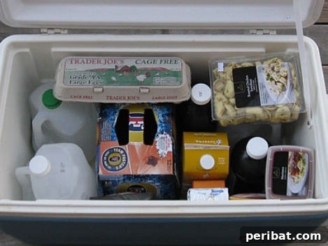 Freeze gallon jugs of water and place them in your cooler for long-lasting cooling and drinking water
