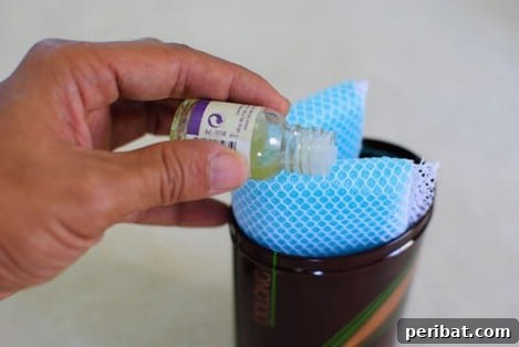 DIY Natural Outdoor Fly Repellent with Essential Oils for a bug-free campsite