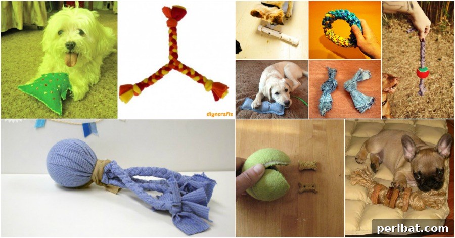 Homemade Happiness: Clever DIY Dog Toys Your Pup Will Love 2 Dog Toys DIY banner image showing various homemade dog toys