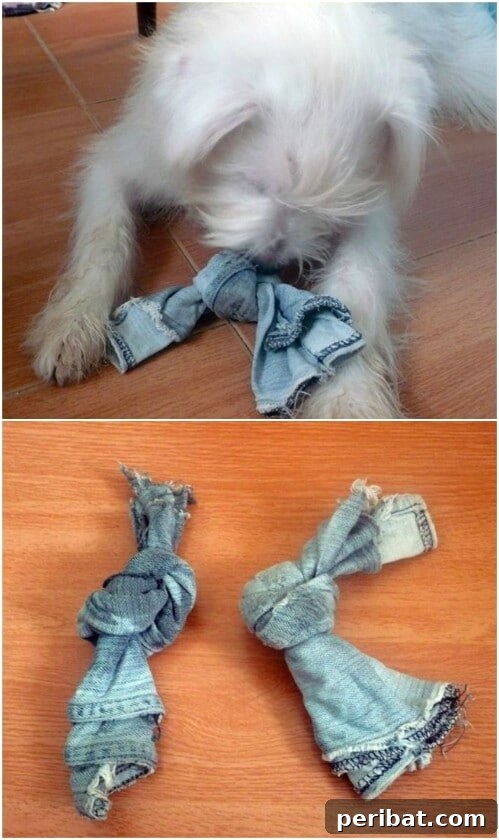 Homemade Happiness: Clever DIY Dog Toys Your Pup Will Love 11 No Sew Denim Dog Toy made from knotted jeans
