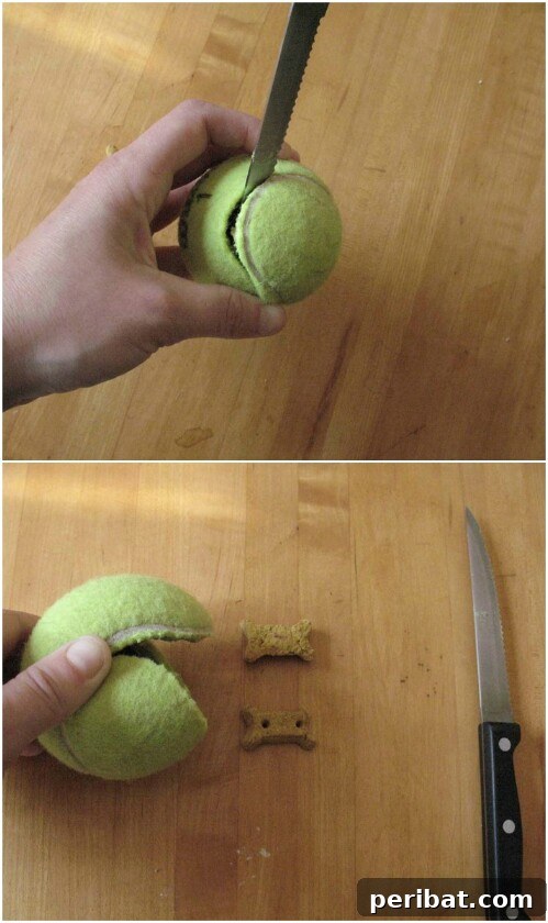 DIY Interactive Tennis Ball Toy for treats