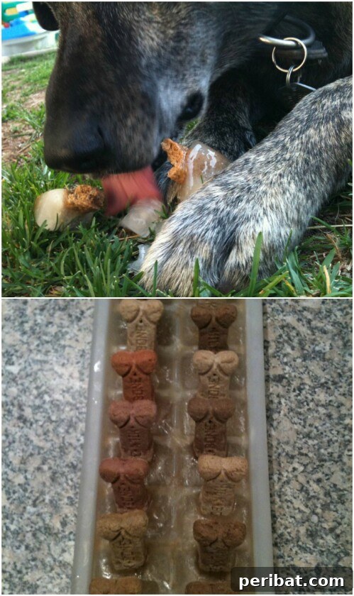 Homemade Happiness: Clever DIY Dog Toys Your Pup Will Love 13 Homemade PupSicles, frozen dog treats