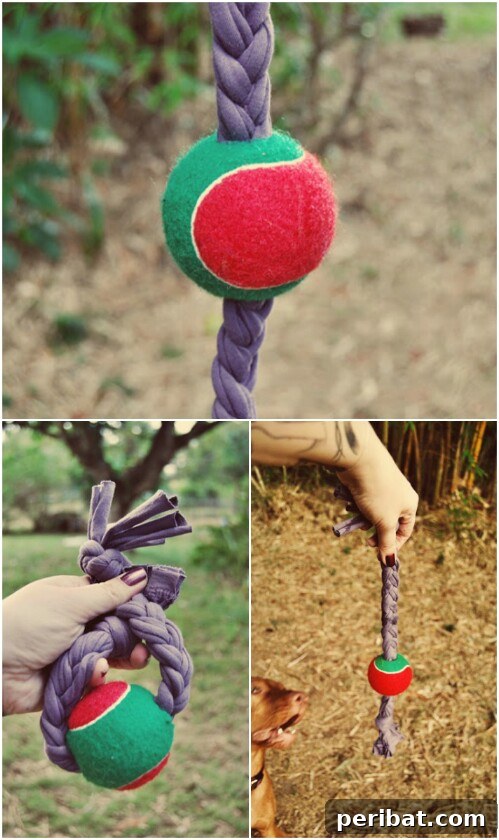 Homemade Happiness: Clever DIY Dog Toys Your Pup Will Love 14 Tennis Ball On A Rope, a durable fetch toy