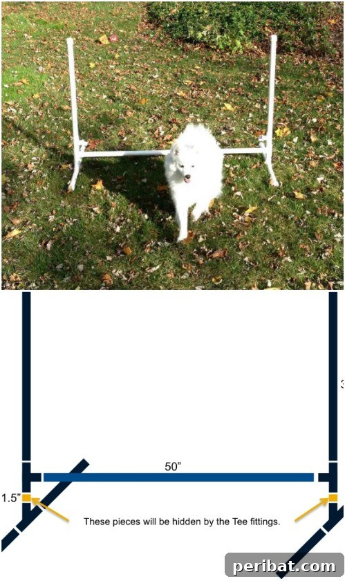 Homemade Happiness: Clever DIY Dog Toys Your Pup Will Love 15 DIY Jumping Toy for dog training