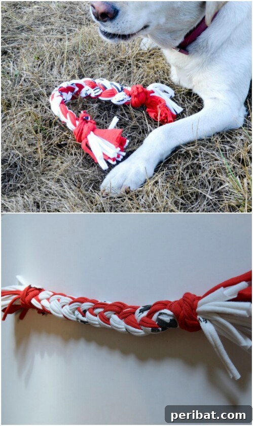 Homemade Happiness: Clever DIY Dog Toys Your Pup Will Love 16 T-Shirt Dog Rope made from braided fabric