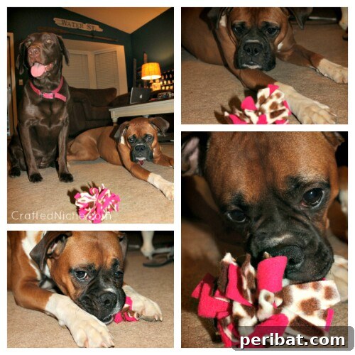 Homemade Happiness: Clever DIY Dog Toys Your Pup Will Love 17 Fleece Dog Chew, a knotted fabric toy
