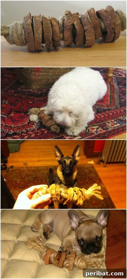 Homemade Happiness: Clever DIY Dog Toys Your Pup Will Love 18 Sweet Potato Chew Toy, with dried sweet potato slices on a rope