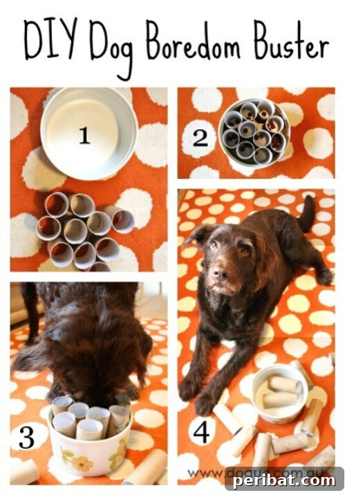 Homemade Happiness: Clever DIY Dog Toys Your Pup Will Love 20 Doggie Boredom Buster, a treat puzzle with toilet paper rolls