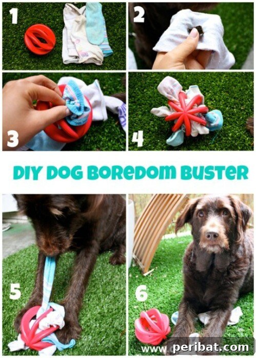 Homemade Happiness: Clever DIY Dog Toys Your Pup Will Love 21 Interactive Pull Toy, fabric strips in a plastic sphere