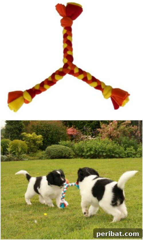 Homemade Happiness: Clever DIY Dog Toys Your Pup Will Love 22 Three-Sided Pull Toy, a braided fleece toy for multiple dogs
