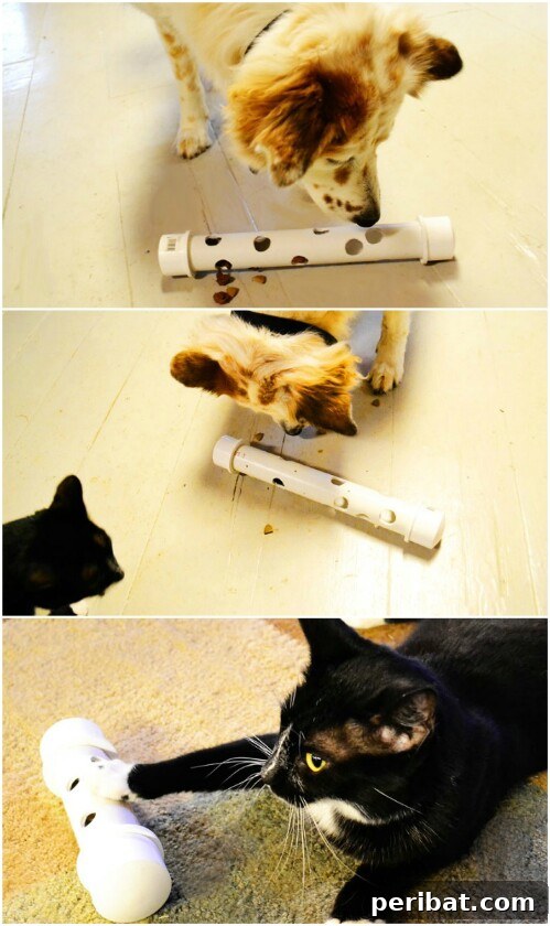 Homemade Happiness: Clever DIY Dog Toys Your Pup Will Love 6 DIY Feeder Toy, a PVC pipe with holes for treats