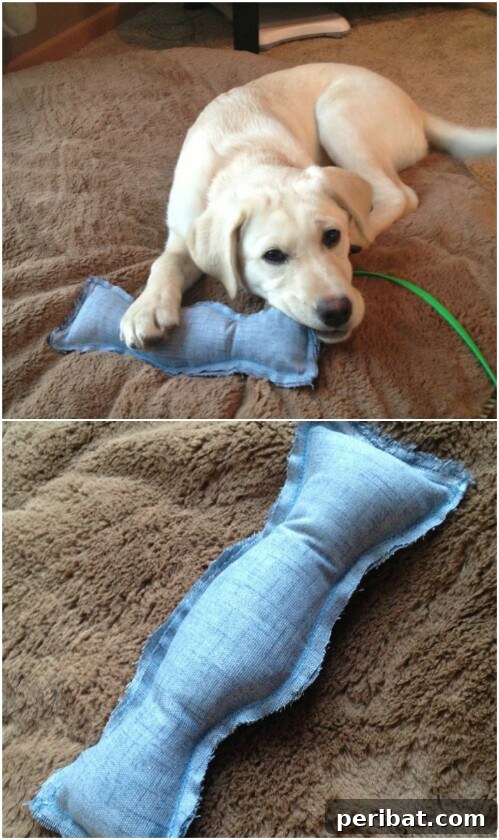 Homemade Happiness: Clever DIY Dog Toys Your Pup Will Love 8 Puppy Toy, a soft chew toy for young dogs