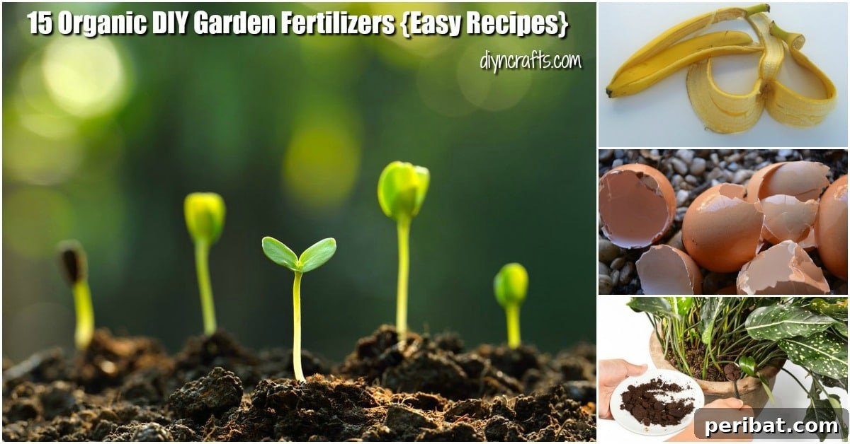 Transform Your Garden with Homemade Organic Fertilizers 2 diy natural garden fertilizer