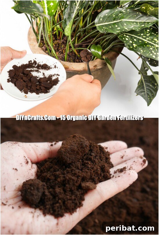 Transform Your Garden with Homemade Organic Fertilizers 3 Coffee Grounds Fertilizer