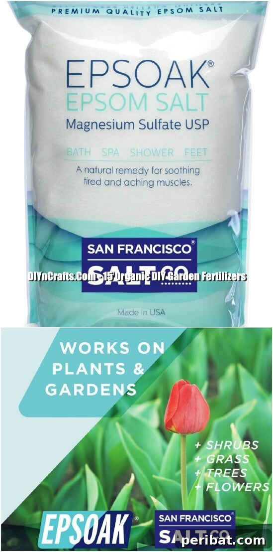 Transform Your Garden with Homemade Organic Fertilizers 4 Straight Epsom Salt Fertilizer